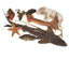 10 Specimen Kit - Large