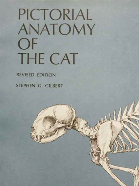 Anatomy of the Cat ほか猫解剖学関連書籍　４点セット Anatomy of the Cat ほか猫解剖学関連書籍 4点セット
