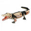 4D Crocodile Model