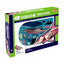 4D Dolphin Model