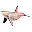 4D Orca Model