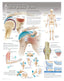 Chart - How Joints Work