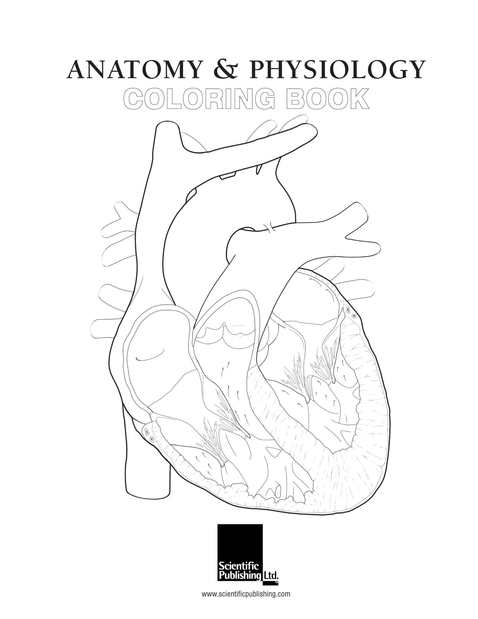 Free Printable Anatomy and Physiology Coloring Pages: A Fun Way to Learn