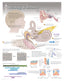 Chart - Hearing & Balance