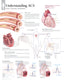Chart - Understanding ACS
