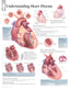 Chart - Understanding Heart Disease