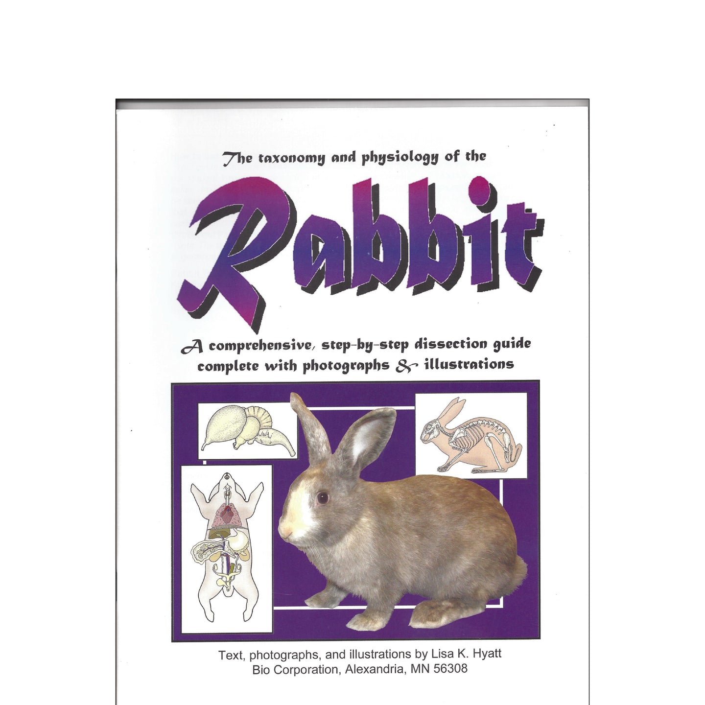 Class Set - Rabbit
