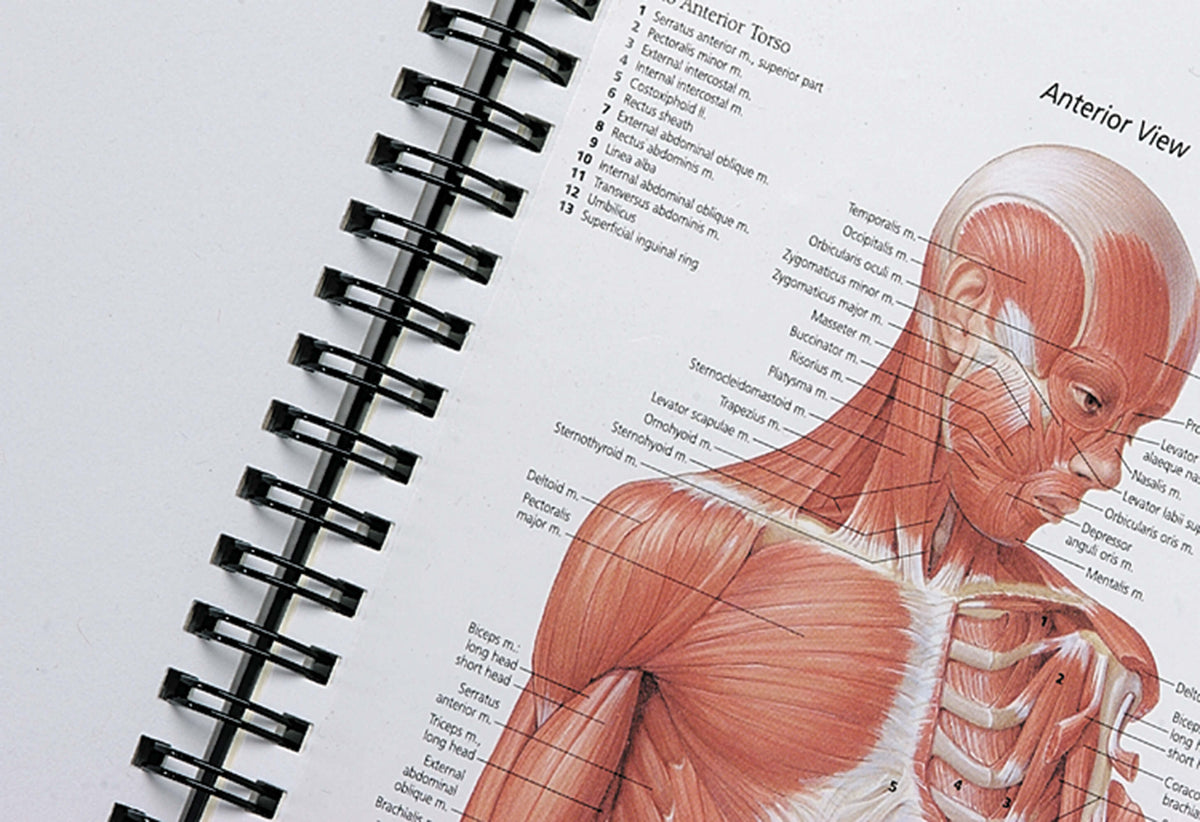 Book - Complete Portfolio of Human & Pathology Book