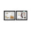 Animal Kingdom Survey Set Display Mount