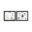 Animal Kingdom Survey Set Display Mount