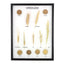 Commercial Grains Display Mount