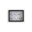Egg Comparison Display Mount