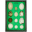 Eggs of North American Birds Display Mount