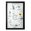 Fern Life Cycle Display Mount