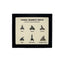 Fossil Shark Teeth Display Mount