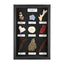 Hard & Soft Corals Display Mount