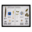 Monocot & Dicot Characteristics Display Mount