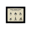 Fossil Shark's Teeth Display Mount