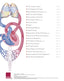 Chart Set - Illustrated Atlas of Human Physiology Paper Chart Set
