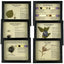 Invasive Species Set