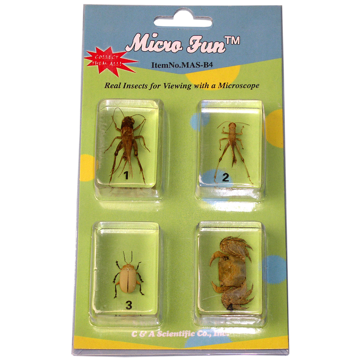 Acrylic Blocks - Bugs - Set 2