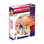 4D Human Brain Anatomy Model