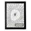 Spiny-Backed Orb Weaver Display Mount