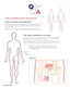 Flip Book - Understanding Men's Health Flip Book