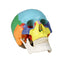 Colored Human Skull