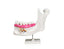 Lower Jaw Model