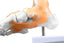 Foot and Ankle Bones with Ligaments