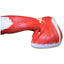 Muscles of Human Arm