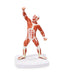 Muscular Figure - 20cm