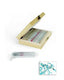 Streptococcus faecalis Prepared Slide