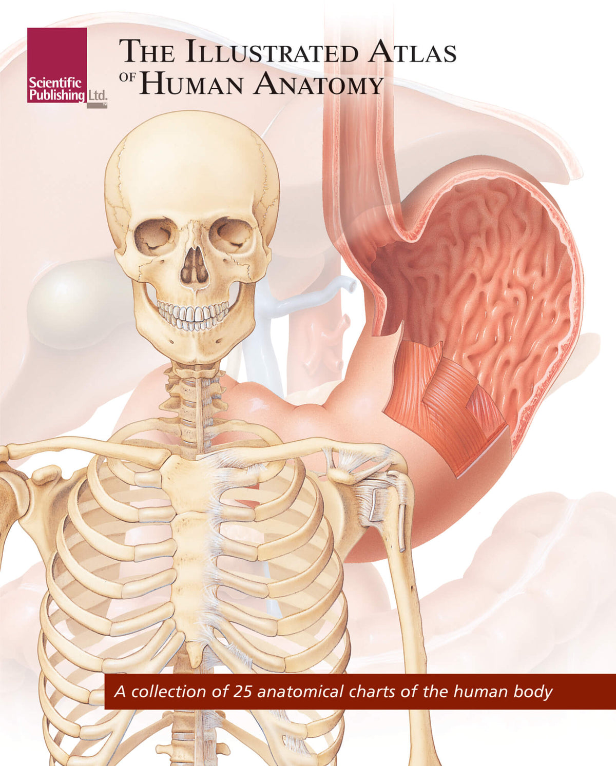 Book - The Illustrated Atlas of Human Anatomy