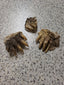 Petrified Snapping Turtle Feet