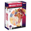 4D VISION HUMAN FEMALE REPRODUCTIVE ANATOMY MODEL