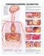 Reference Chart - Understanding Diabetes