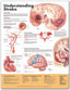 Reference Chart - Understanding Stroke