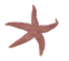 Starfish