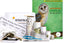 Astounding Owls