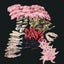 8 Specimen Bulk Kit - Large