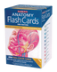 Barron's Anatomy Flash Cards