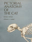 Pictorial Anatomy of the Cat