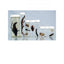 Insecta Jar Set