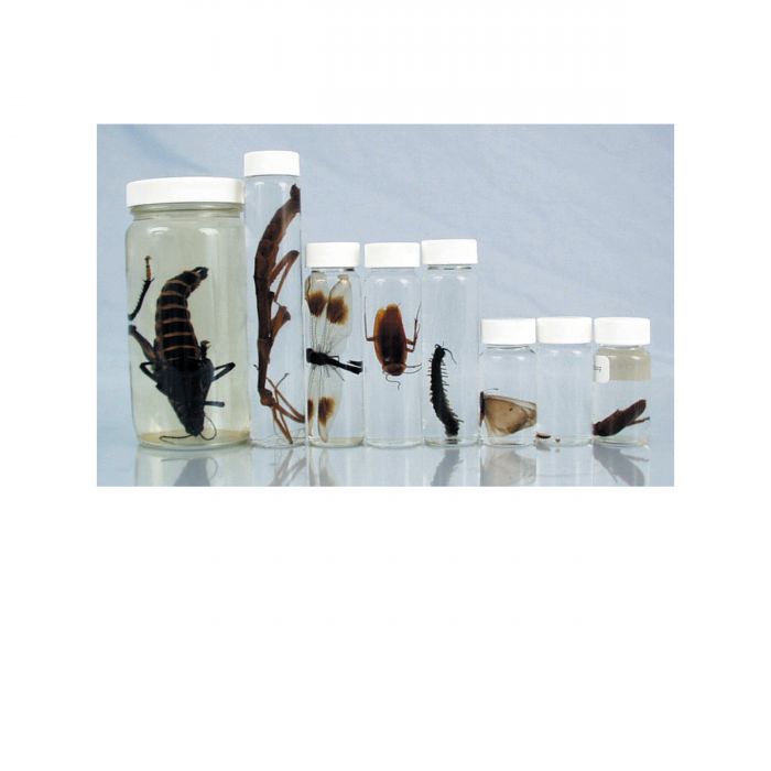 Jar Sets