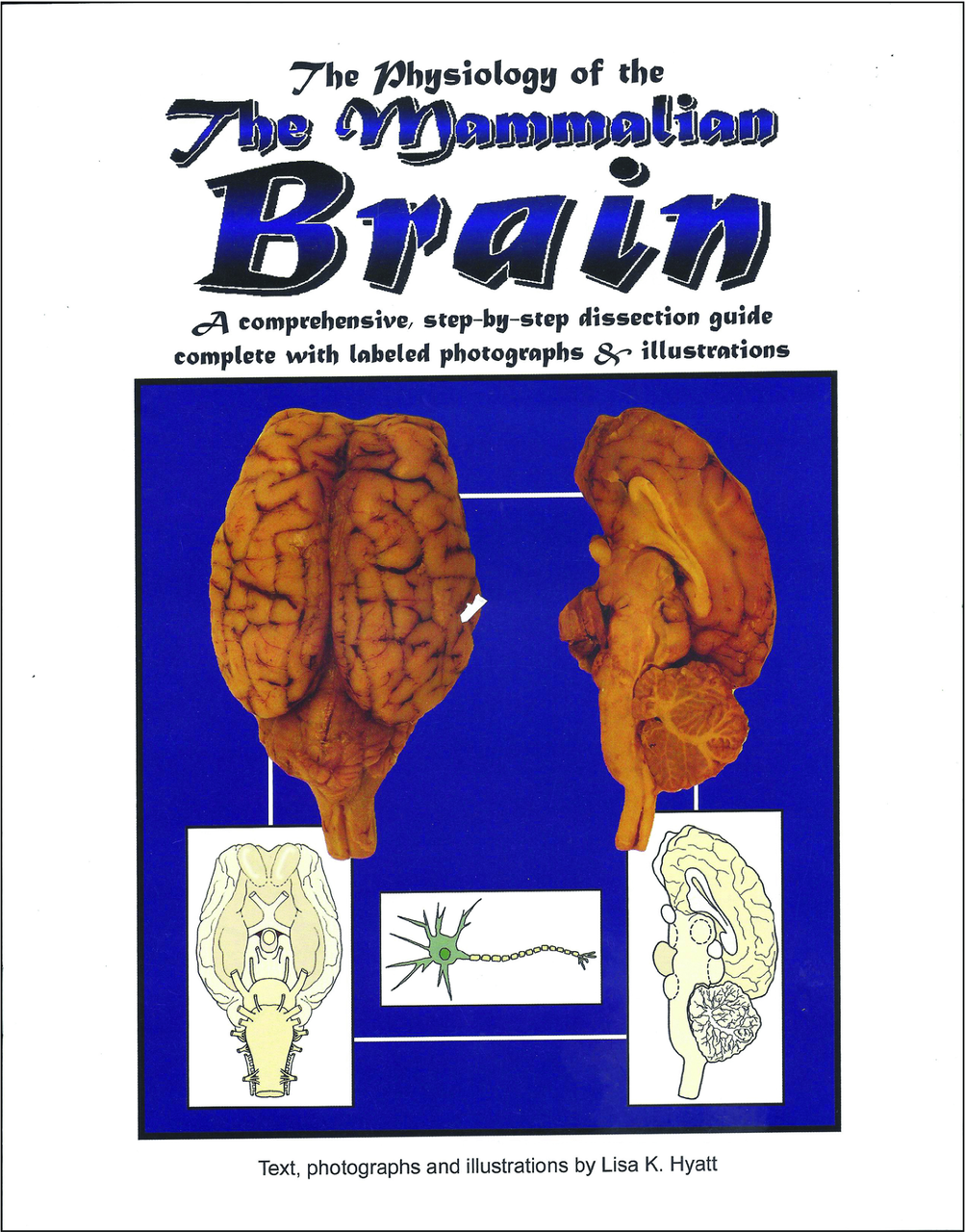 Brain Dissection Reference Guide – Biology Products