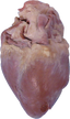 Pig Heart