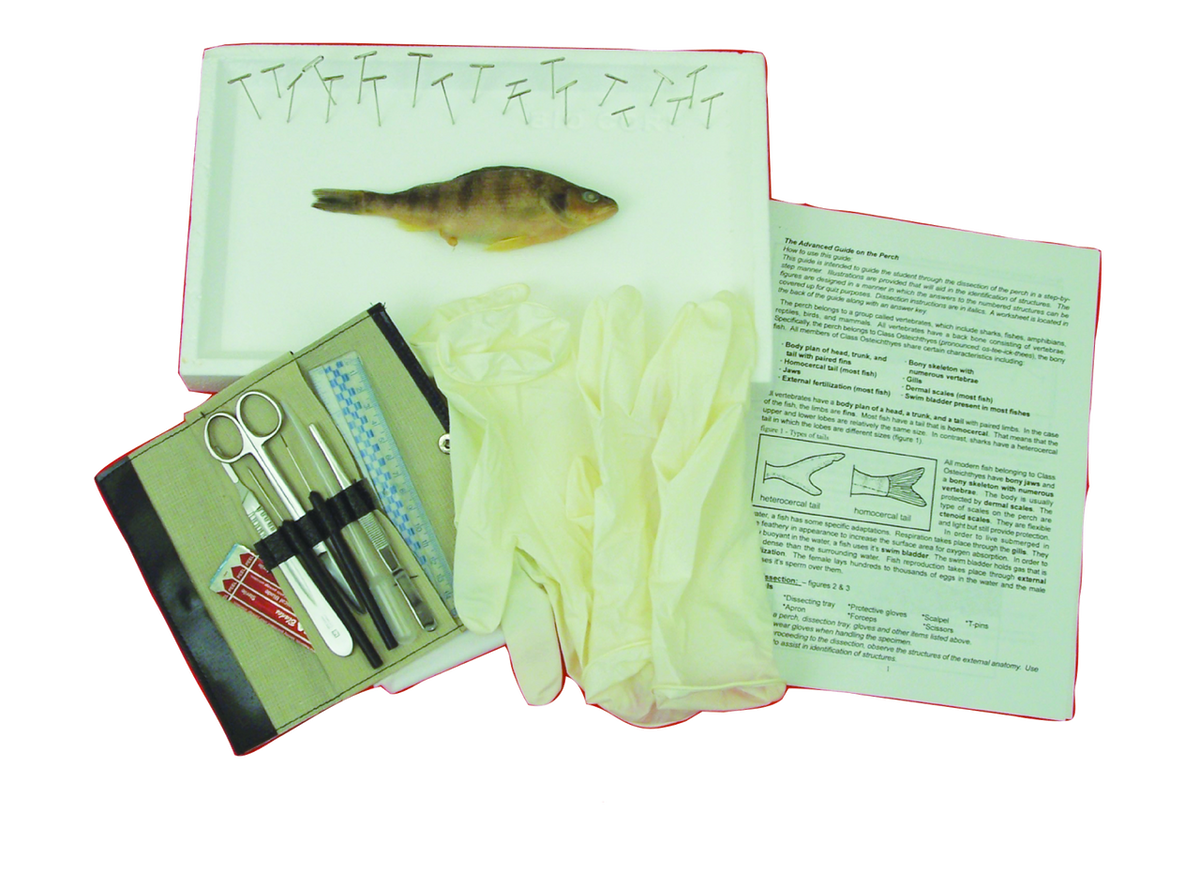 Perch Kit
