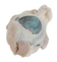 Sheep Eye